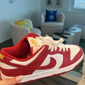 Brand limited edition Nike dunks